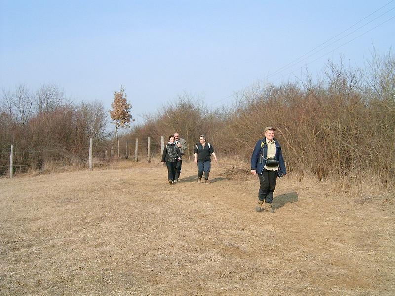 20110312 070.jpg